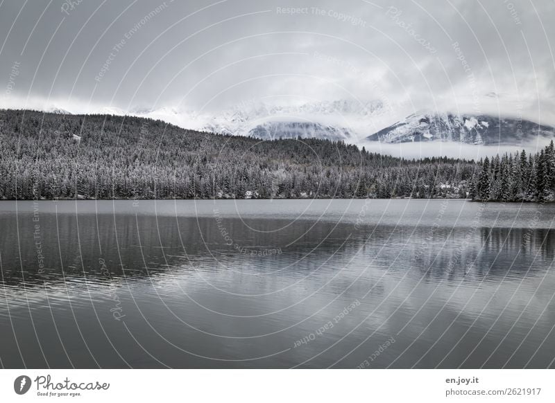 Kälte Ferien & Urlaub & Reisen Ausflug Winter Schnee Winterurlaub Natur Landschaft Himmel Wolken schlechtes Wetter Eis Frost Wald Hügel Berge u. Gebirge See