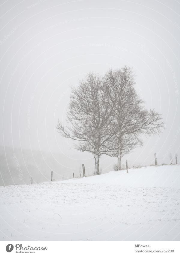 grau in grau Unendlichkeit gruselig weiß Kraft Willensstärke Mut Hoffnung Müdigkeit Abenteuer Schnee Schneefall Winter Schneesturm Schneewehe Einsamkeit