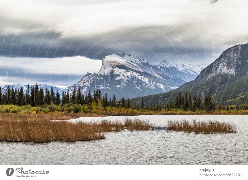 Natur Ferien & Urlaub & Reisen Ausflug Abenteuer Ferne Freiheit Expedition Berge u. Gebirge Landschaft Wolken Herbst Mount Rundle Gipfel Seeufer Vermilion Lakes