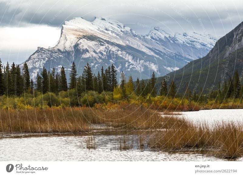 Hausberg Ferien & Urlaub & Reisen Ausflug Natur Landschaft Himmel Wolken Herbst Sträucher Berge u. Gebirge Mount Rundle Schneebedeckte Gipfel Seeufer