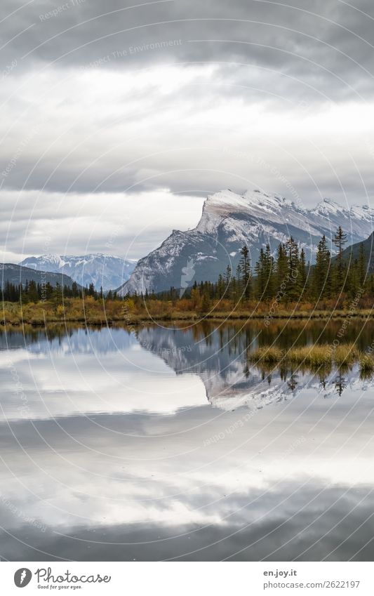 Abendruhe Ferien & Urlaub & Reisen Ausflug Berge u. Gebirge Natur Landschaft Himmel Wolken Herbst Sträucher Nadelbaum Rocky Mountains Mount Rundle