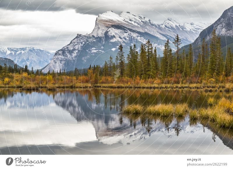 Windstill Ferien & Urlaub & Reisen Ausflug Natur Landschaft Wolken Herbst Gras Sträucher Berge u. Gebirge Seeufer Vermilion Lakes Nadelbaum Idylle Klima ruhig