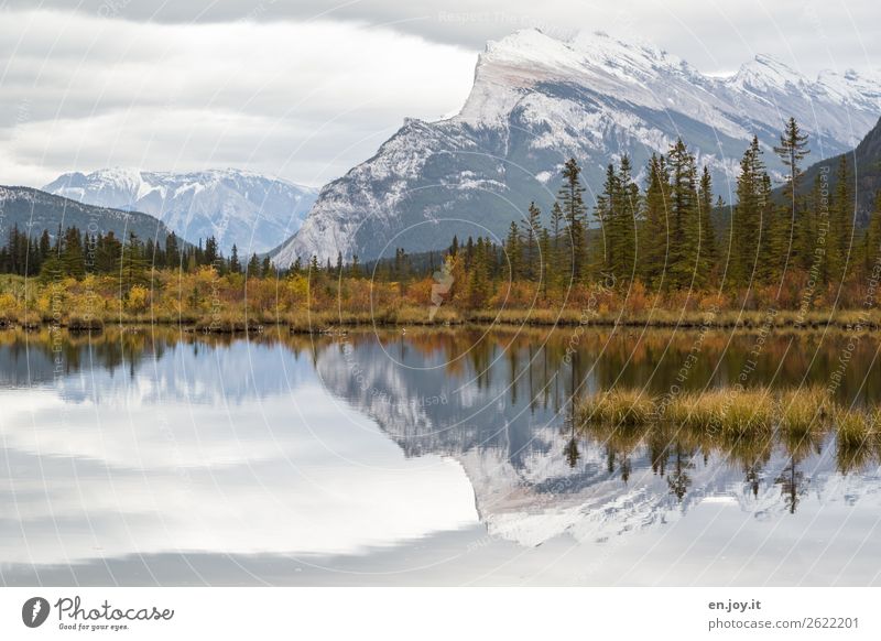 Ruhe Ferien & Urlaub & Reisen Ausflug Natur Landschaft Himmel Herbst Sträucher Wald Berge u. Gebirge Schneebedeckte Gipfel Seeufer Vermilion Lakes Einsamkeit