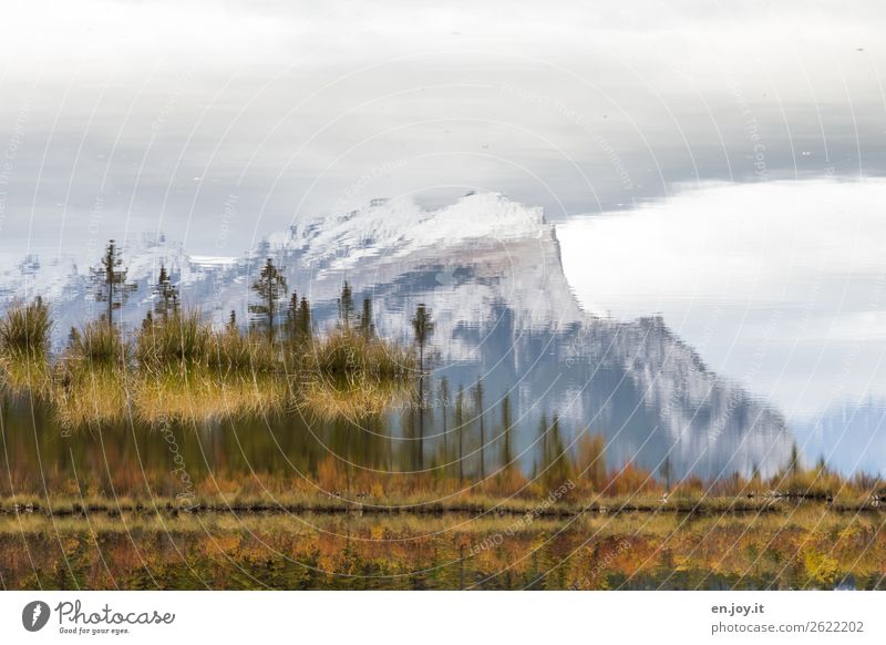 Verkehrte Welt | Herbstsee Ferien & Urlaub & Reisen Ausflug Natur Landschaft Himmel Sträucher Felsen Berge u. Gebirge Mount Rundle Gipfel Seeufer