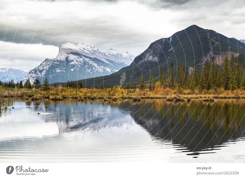 Reflexion einer Herbstlandschaft im See Vermilion Lakes Banff Nationalpark Banff National Park Alberta Kanada Nordamerika Berge Mount Rundle Reise Urlaub Natur