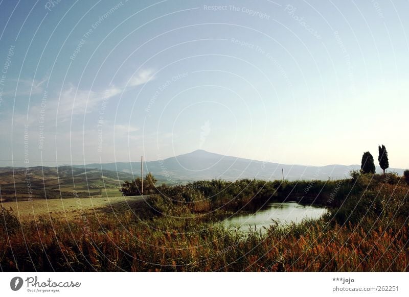 oase. Landschaft Natur Toskana Schilfrohr Teich Italien Berge u. Gebirge Hügel Idylle mediterran Farbfoto Außenaufnahme Menschenleer Textfreiraum oben