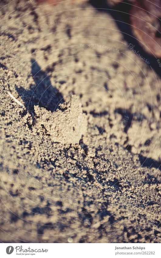 Sandbrocken Ferien & Urlaub & Reisen Natur Strand Fröhlichkeit Strandspaziergang Sandstrand Sandkasten Sandkorn Spielplatz Detailaufnahme Schatten Sommer