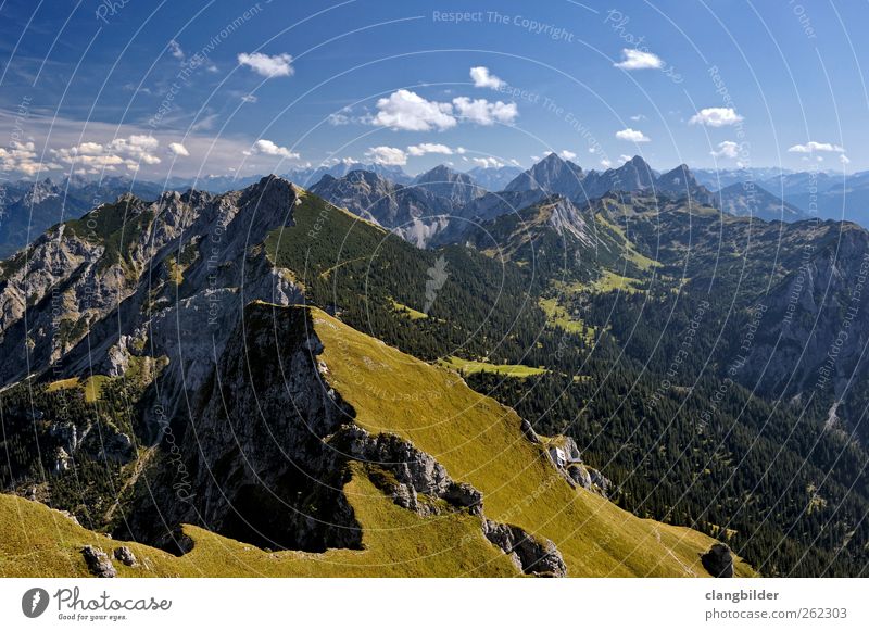 Above the Timberline Ferien & Urlaub & Reisen Ausflug Sommer Berge u. Gebirge wandern Klettern Bergsteigen Natur Landschaft Schönes Wetter Felsen Alpen Gipfel