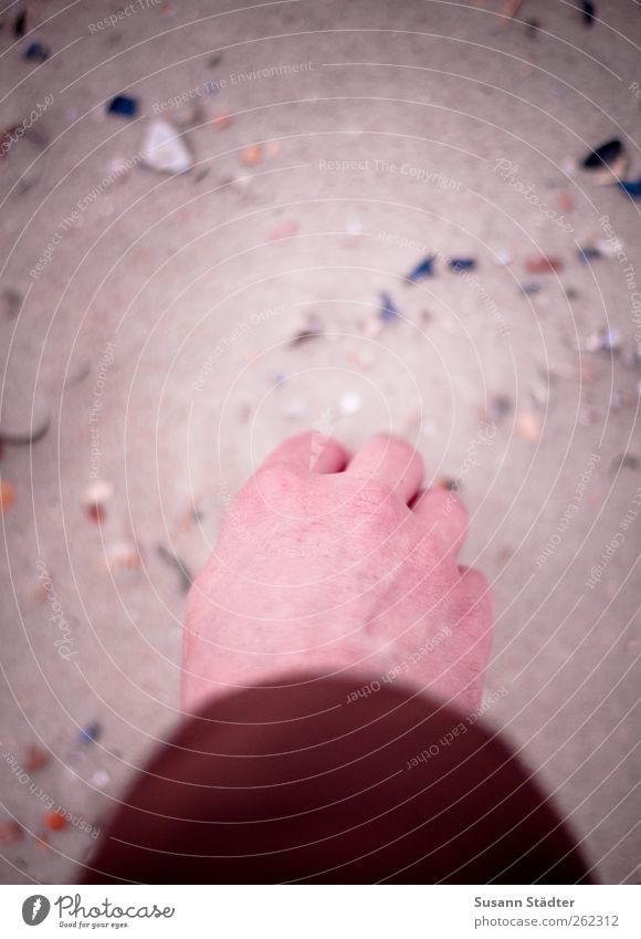 nach den Sternen greifen maskulin Arme Hand 1 Mensch Umwelt Natur Sand Küste Strand Nordsee entdecken heben Muschel Farbfoto Außenaufnahme Nahaufnahme