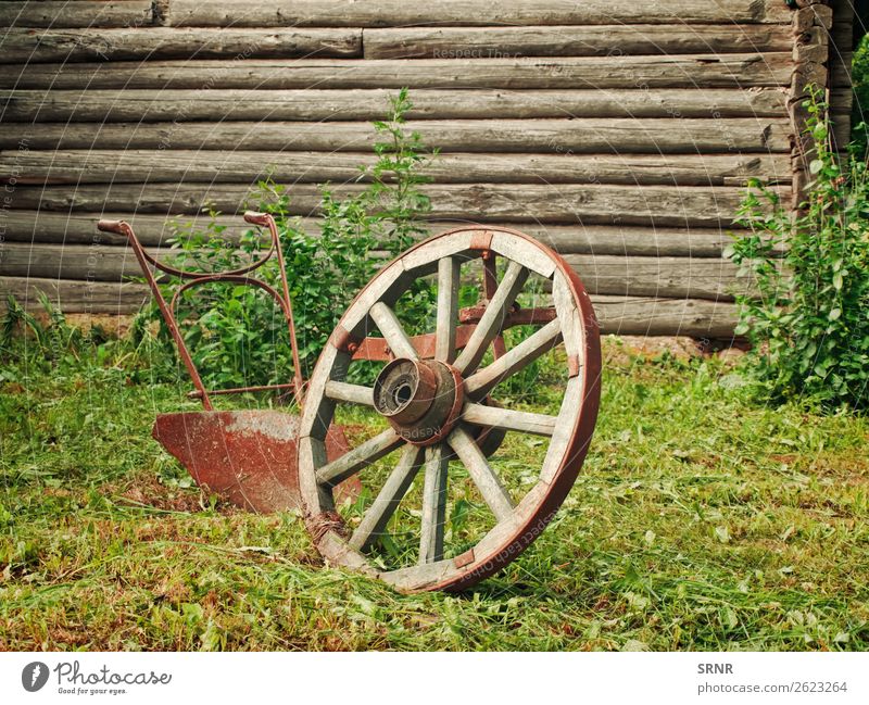 Rad und Pflug Gras Dorf Holz Rost alt historisch retro Nostalgie landwirtschaftlich antik Antiquität Radschlagen Land Grunge Objektfotografie altmodisch