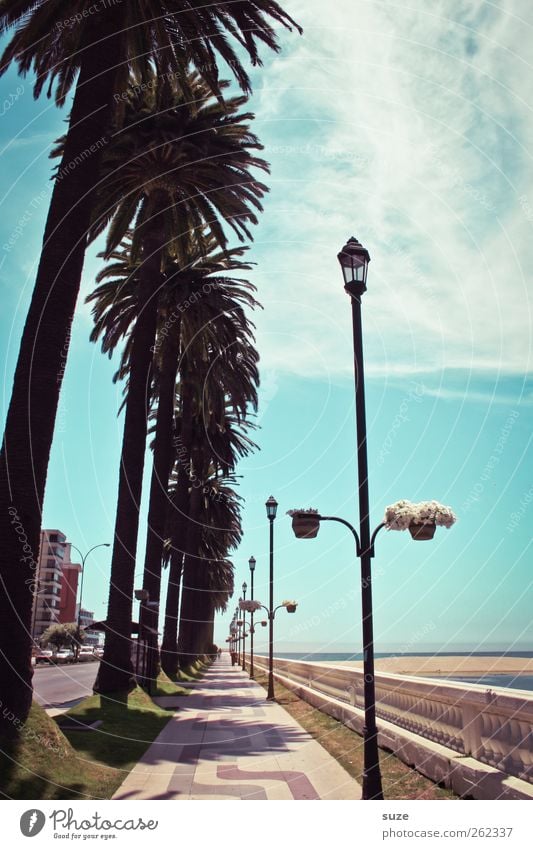 Promenade Ferien & Urlaub & Reisen Strand Meer Umwelt Natur Landschaft Urelemente Wasser Himmel Horizont Schönes Wetter Küste Stadtrand Wege & Pfade blau