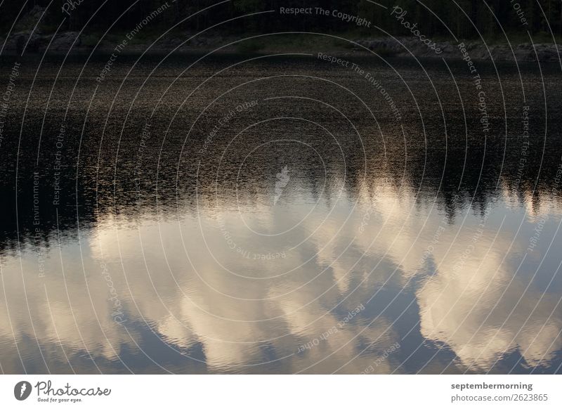 Wolkenspiegelung Landschaft Wasser Himmel See träumen Gedeckte Farben Außenaufnahme Menschenleer Dämmerung Reflexion & Spiegelung