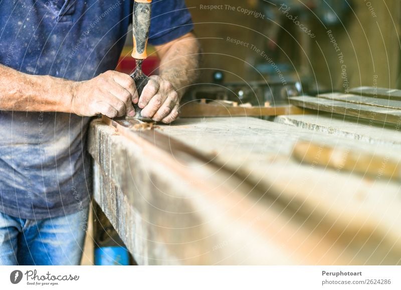 Professioneller Schreiner bei der Arbeit. Handarbeit Arbeit & Erwerbstätigkeit Beruf Industrie Handwerk Werkzeug Mann Erwachsene Holz alt natürlich Präzision