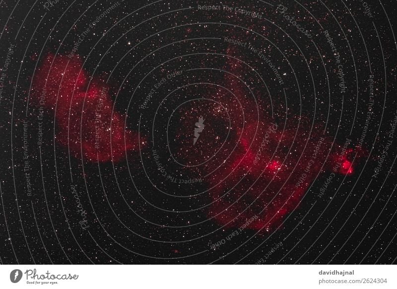 Herz-, Seelen- und Fischkopfnebel Technik & Technologie Wissenschaften Fortschritt Zukunft High-Tech Astronomie Kunst Umwelt Natur Himmel nur Himmel