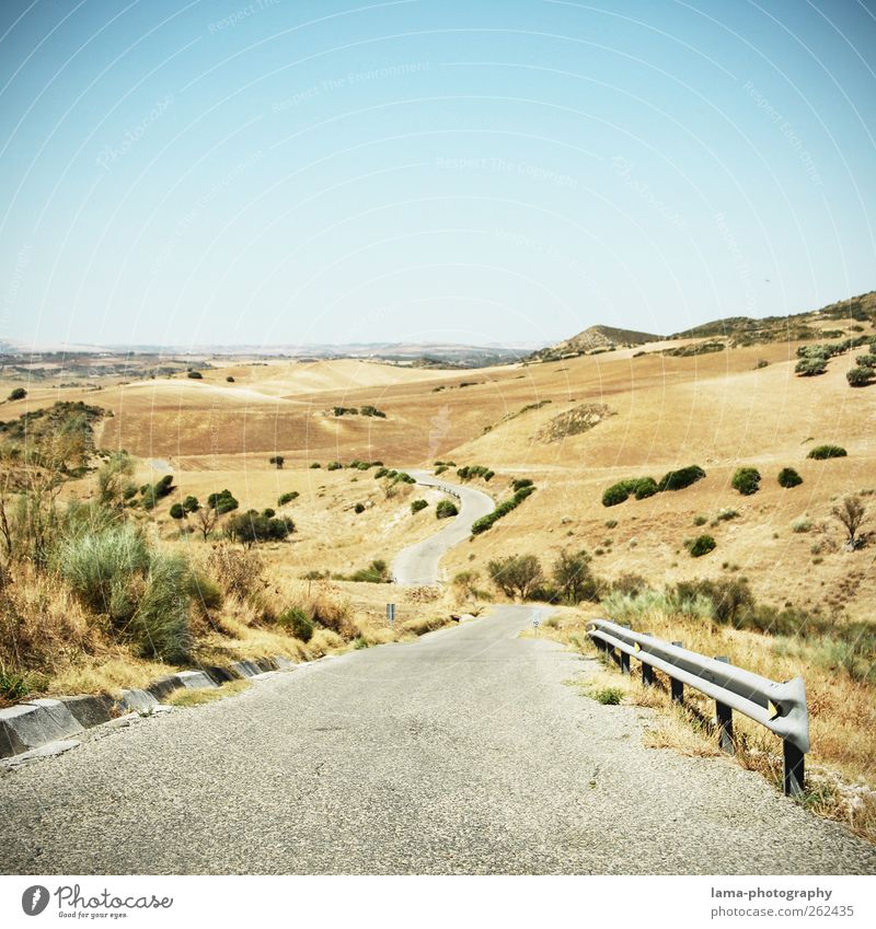 El camino [XXII] Abenteuer Ferne Expedition Umwelt Natur Landschaft Wolkenloser Himmel Dürre Feld Wüste Steppe Sierra Nevada Verkehrswege Autofahren Straße