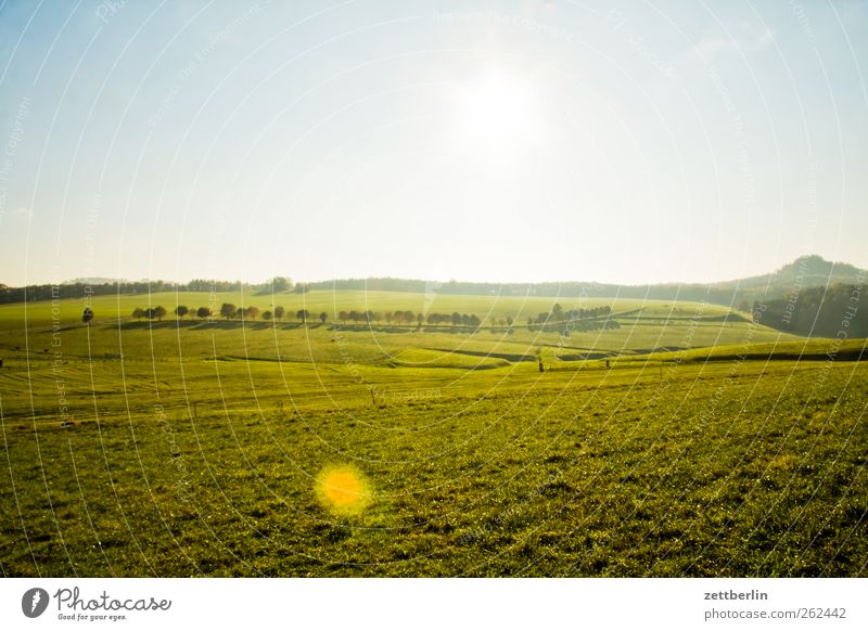 Sächsische Schweiz Erholung Ferien & Urlaub & Reisen Ausflug Umwelt Natur Landschaft Pflanze Himmel Sonne Herbst Klima Klimawandel Wetter Schönes Wetter Wiese