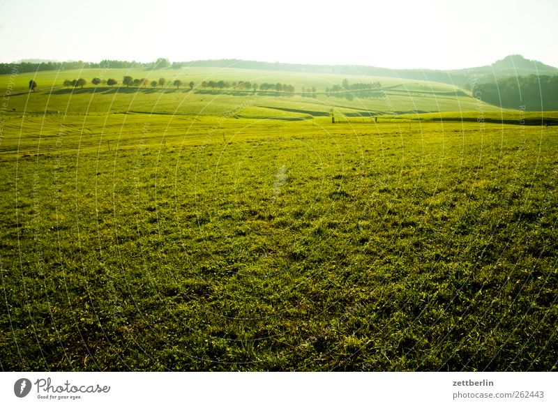 Another sächsische Schweiz Erholung Ferien & Urlaub & Reisen Ausflug Umwelt Natur Landschaft Herbst Klima Klimawandel Wetter Schönes Wetter Wiese Feld Blick