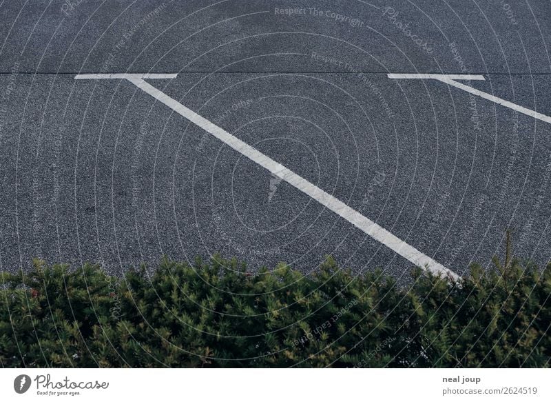 Parken im Park Karriere Feierabend Hecke Verkehr Parkplatz warten frei grau grün fleißig Hoffnung Einsamkeit Beginn Erwartung Pause Gedeckte Farben