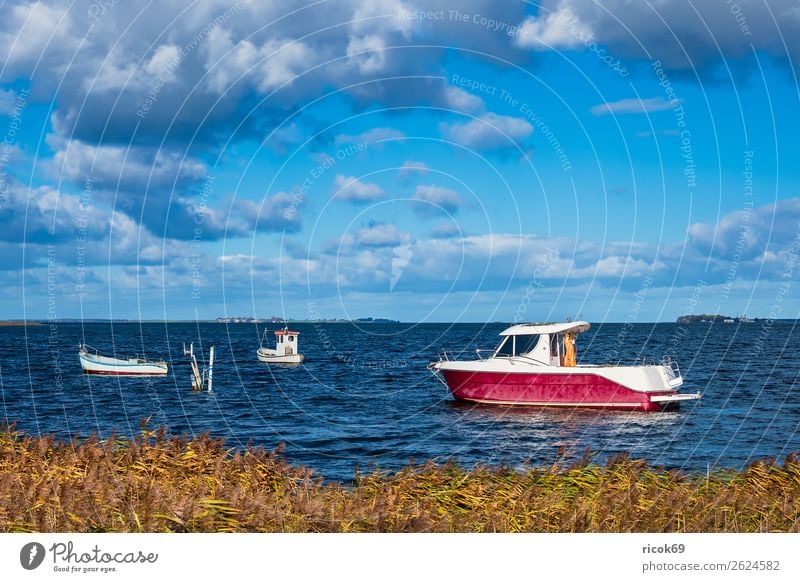 Boote auf der Ostsee in Dänemark Erholung Ferien & Urlaub & Reisen Tourismus Natur Landschaft Wasser Wolken Küste Hafen Architektur Sehenswürdigkeit