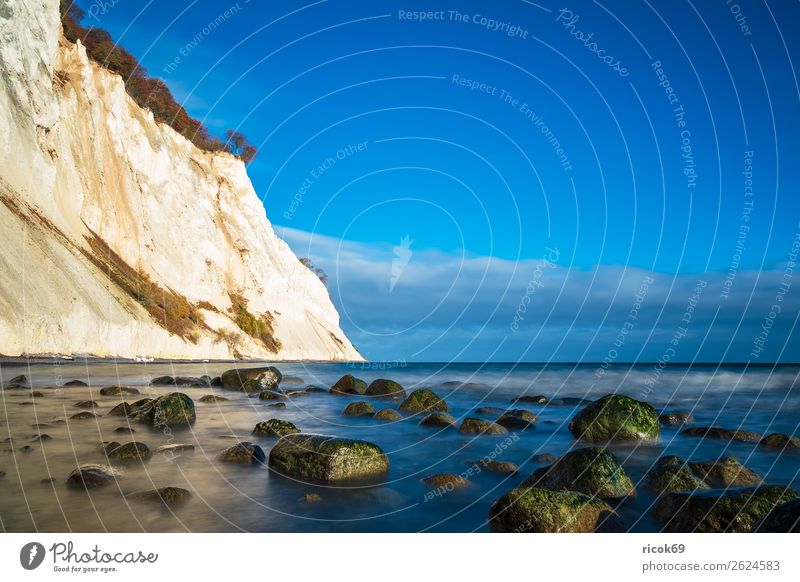 Ostseeküste auf der Insel Moen in Dänemark Erholung Ferien & Urlaub & Reisen Tourismus Strand Meer Natur Landschaft Wasser Wolken Herbst Baum Wald Felsen Küste