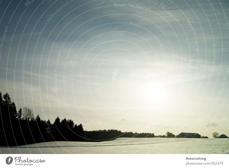 düsterrer Winter Umwelt Natur Landschaft Pflanze Erde Luft Himmel Wolken Horizont Sonne Wetter Schönes Wetter Schnee Baum Feld Wald Hügel Bauwerk Gebäude dunkel