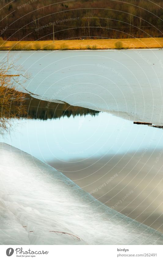 offene , angetaute Eisfläche auf einem See. Klima, Klimawandel gefroren Tauwetter Natur Wasser Winter Erderwärmung Wasserfläche Wetter Frost Wald Seeufer