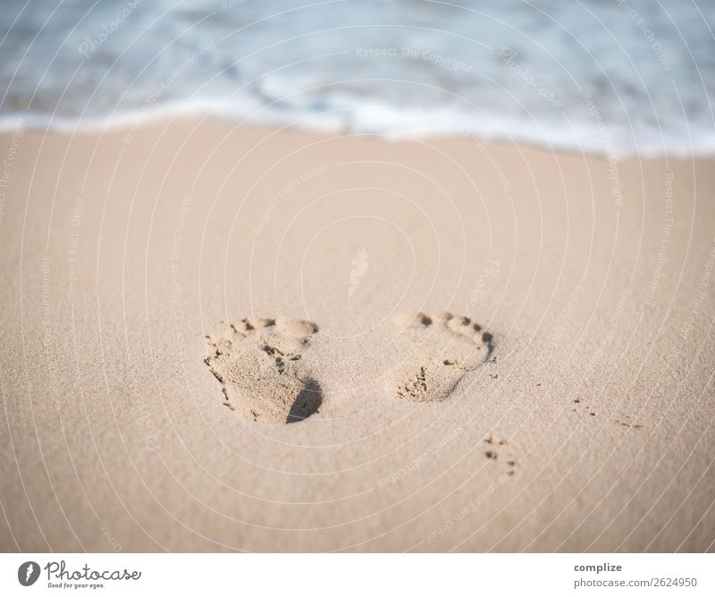 Fußabdrücke am Sandstrand Freude schön Gesundheit Alternativmedizin Wellness harmonisch ruhig Meditation Spa Schwimmen & Baden Ferien & Urlaub & Reisen Freiheit