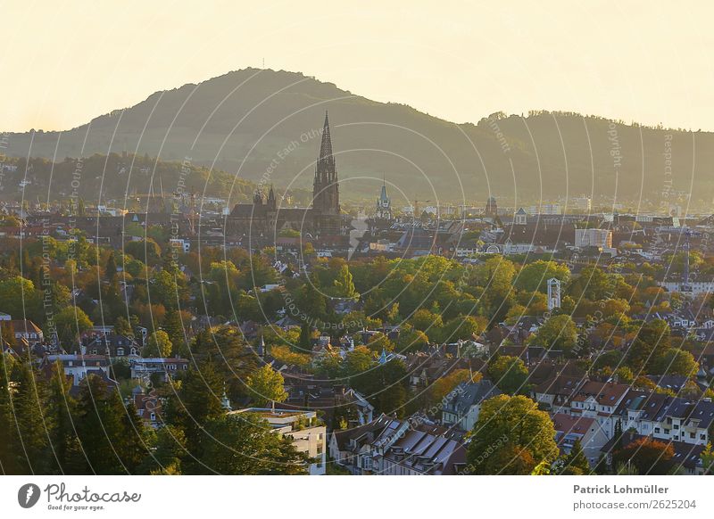 Freiburger Färbungen Ferien & Urlaub & Reisen Tourismus Städtereise Umwelt Natur Wolkenloser Himmel Herbst Schönes Wetter Baum Berge u. Gebirge