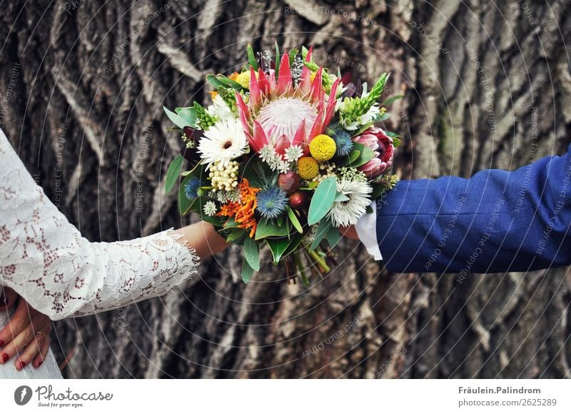 Hochzeitspaar Glück Veranstaltung Eltern Erwachsene Familie & Verwandtschaft Paar Partner Leben Arme Hand 2 Mensch 18-30 Jahre Jugendliche Baum Blume Liebe