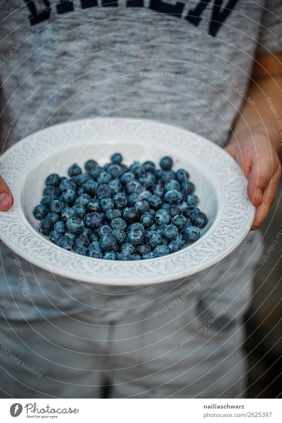 Heidelbeeren Lebensmittel Frucht Dessert blaue beeren Beeren Ernährung Bioprodukte Vegetarische Ernährung Diät Teller Schalen & Schüsseln Kind Junge Kindheit