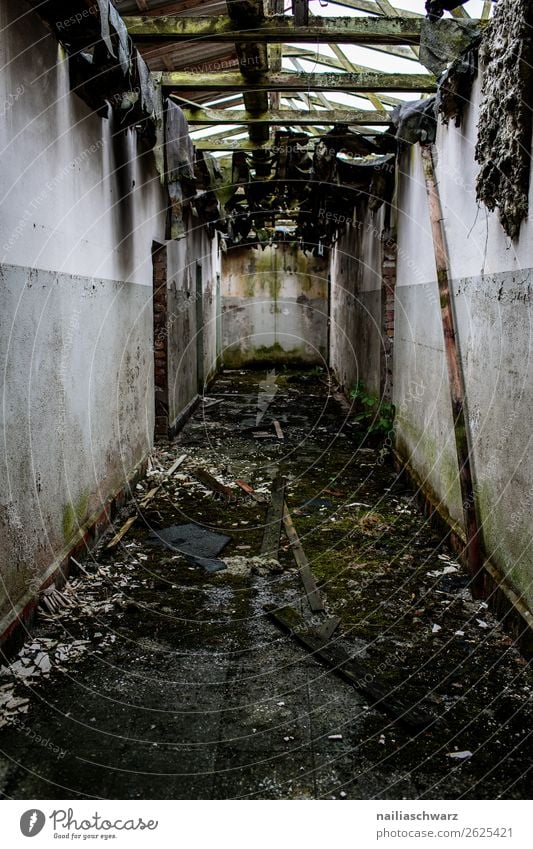 Ruine Kleinstadt Haus Hütte Industrieanlage Fabrik Bauwerk Gebäude Militärgebäude Mauer Wand Gang Gangway Linie alt dreckig dunkel gruselig Stimmung Traurigkeit