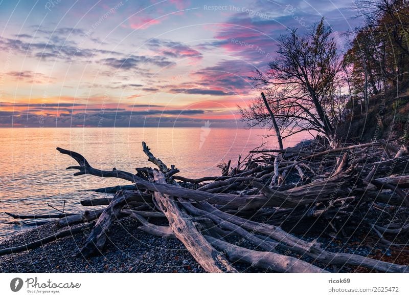 Ostseeküste auf der Insel Moen in Dänemark Erholung Ferien & Urlaub & Reisen Tourismus Strand Meer Natur Landschaft Wasser Wolken Herbst Baum Wald Felsen Küste