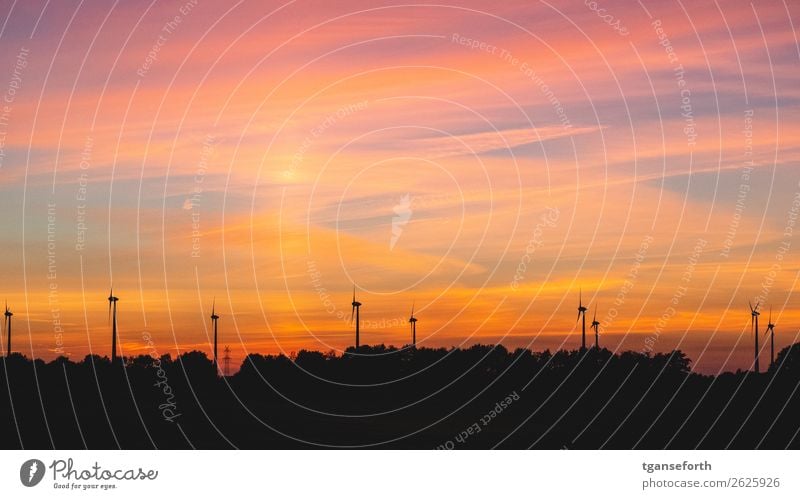 Windpark im Sonnenuntergang Wirtschaft Industrie Technik & Technologie Fortschritt Zukunft Energiewirtschaft Erneuerbare Energie Windkraftanlage Umwelt Himmel