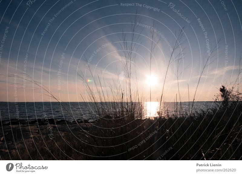 Tell me in the morning Umwelt Natur Landschaft Pflanze Urelemente Luft Wasser Himmel Wolken Klima Wetter Schönes Wetter Wind Wellen Küste Strand Meer Stimmung