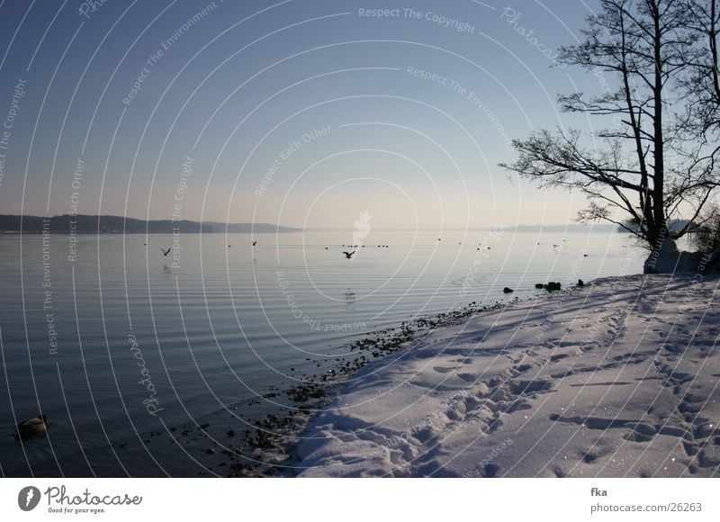 Winter am starnberger see Starnberg See Schneelandschaft Starnberger See blau glänzend