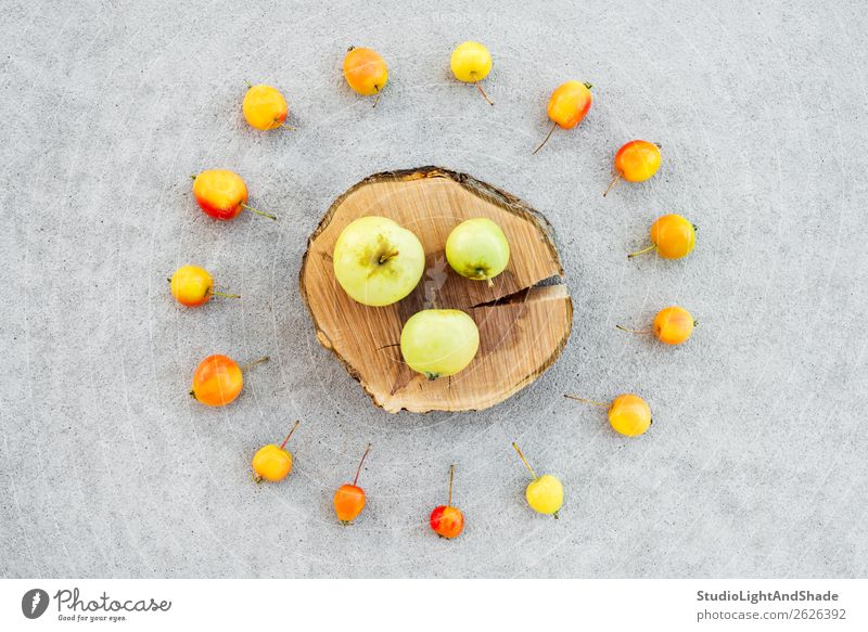 Apfelbaumstumpf und bunte Wildäpfel Lebensmittel Frucht Bioprodukte Vegetarische Ernährung Gesunde Ernährung Sommer Garten Gartenarbeit Landwirtschaft