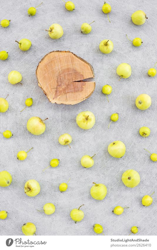 Wilde Äpfel und Apfelbaumstumpf mit Platz für Text Lebensmittel Frucht Ernährung Bioprodukte Vegetarische Ernährung Gesunde Ernährung Sommer Garten Gartenarbeit