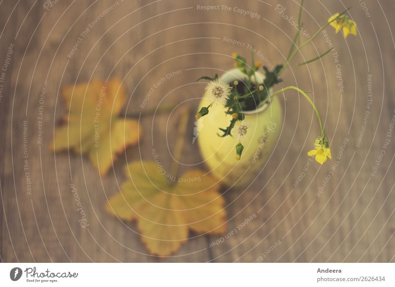 Herbstliches Stillleben mit Pflanzen und Vase auf unscharfem Untergrund aus Holz Wohnung Dekoration & Verzierung Tisch Natur Wärme Blatt Blüte Wildpflanze