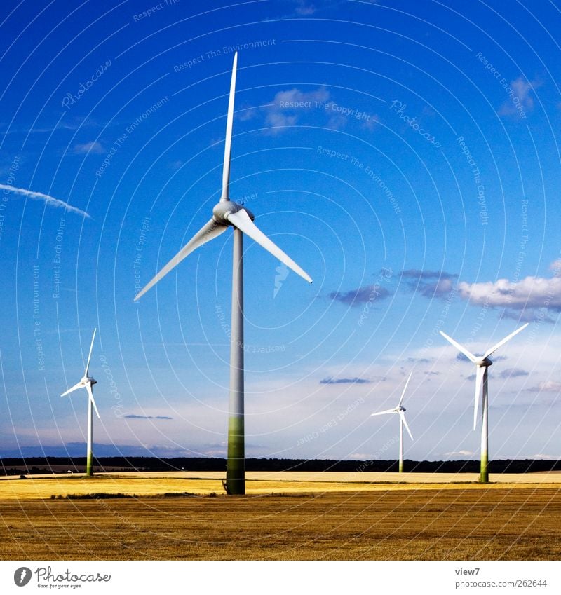 Windmühlen Baustelle Energiewirtschaft Maschine Windkraftanlage Umwelt Natur Landschaft Klima Schönes Wetter Industrieanlage Metall Linie authentisch ökologisch