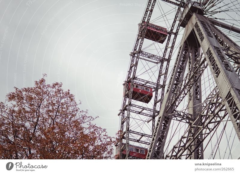 ich dreh am rad Tourismus Sightseeing Wolken Baum Wien Österreich Menschenleer Bauwerk Sehenswürdigkeit Prater Riesenrad Jahrmarkt gigantisch rund