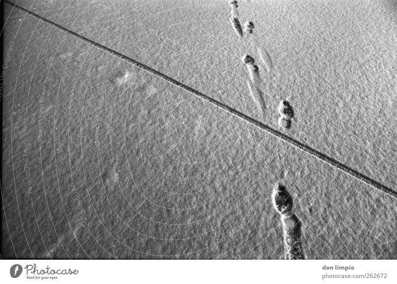 low on ice Winter gehen dunkel kalt grau schwarz Spuren Strukturen & Formen Fußspur Wege & Pfade kreuzen analog Schwarzweißfoto Außenaufnahme Menschenleer