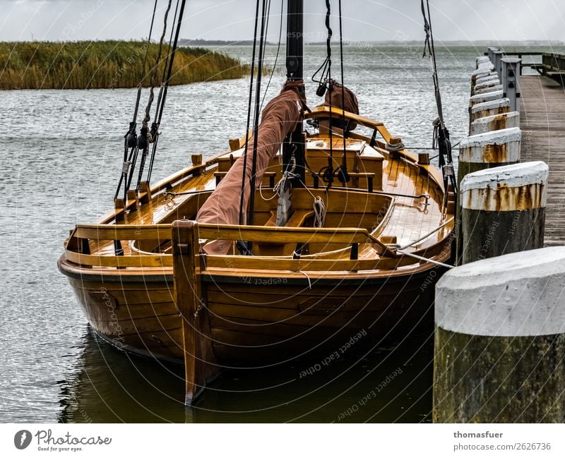 klassisches Segelboot, Zeese Ferien & Urlaub & Reisen Tourismus Ausflug Abenteuer Ferne Freiheit Sommer Meer Insel Fischer Fischereiwirtschaft Feierabend Umwelt