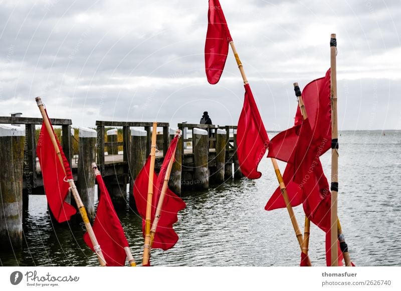 Fischerfahnen, Meer, Steg Fischernetz rot Vorpommersche Boddenlandschaft Bucht Ostsee Horizont Wolken Natur Fischereiwirtschaft Ausflug Himmel schlechtes Wetter