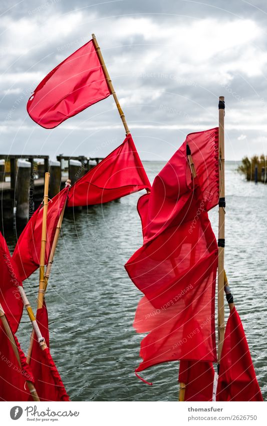 Fischerfahnen, Meer, Steg Fischernetz rot Vorpommersche Boddenlandschaft Bucht Ostsee Horizont Wolken Natur Fischereiwirtschaft Ausflug Himmel schlechtes Wetter