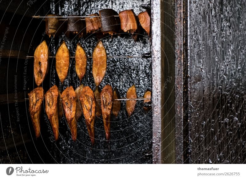 Räucherfisch, Räucherofen Ernährung Essen Mittagessen Bioprodukte kaufen Rauchen Ferien & Urlaub & Reisen Handel Ostsee Fisch Schwarm Grill Tod bizarr Ende