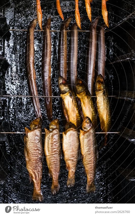 Räucherfisch, Räucherofen Fisch Hering Aal Ernährung Mittagessen Bioprodukte nordisch Ferien & Urlaub & Reisen Handel Schwarm Grill Rauchen bizarr Ende Farbe