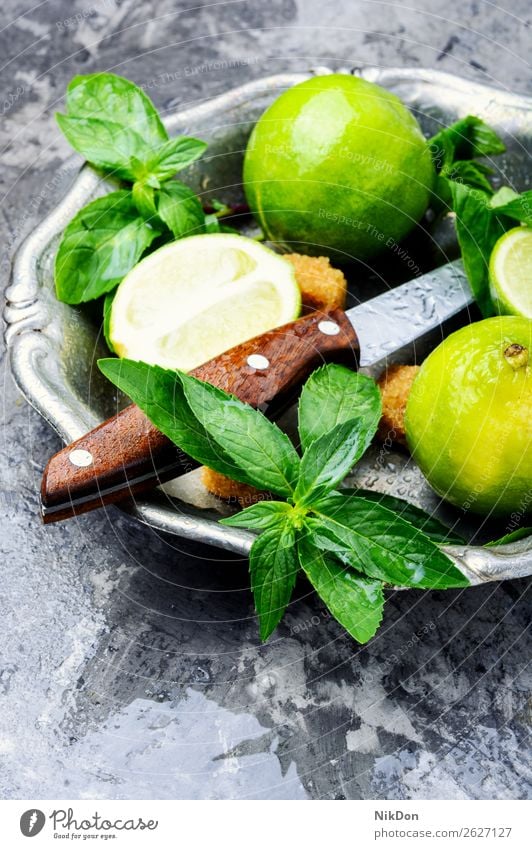 Frische grüne Minze und Limone Kalk Bestandteil Mojito trinken Saft Zitrusfrüchte Cocktail frisch Frucht Eis Scheibe Sommer Getränk Blatt Zitrone Alkohol