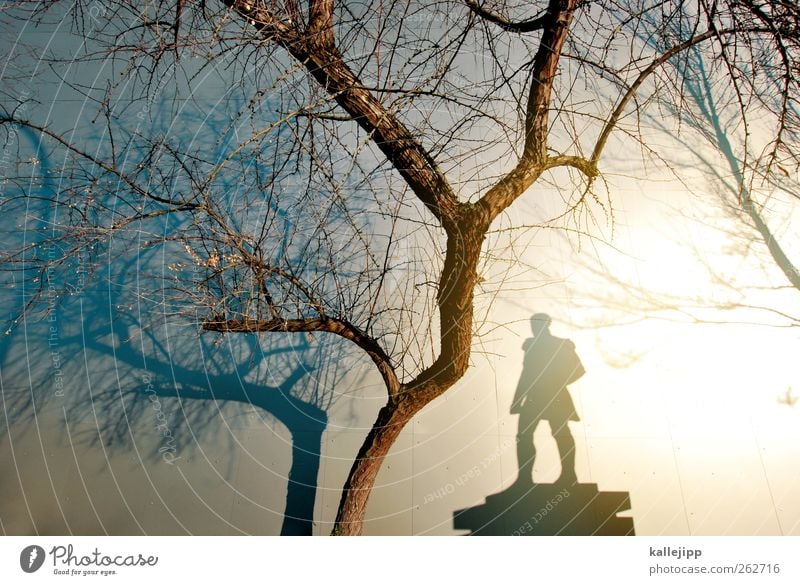 licht- und schattenseiten Kunst Kunstwerk Skulptur Umwelt Natur Baum stehen Statue Denkmal Ehre Soldat Licht Schatten Kontrast Silhouette Reflexion & Spiegelung