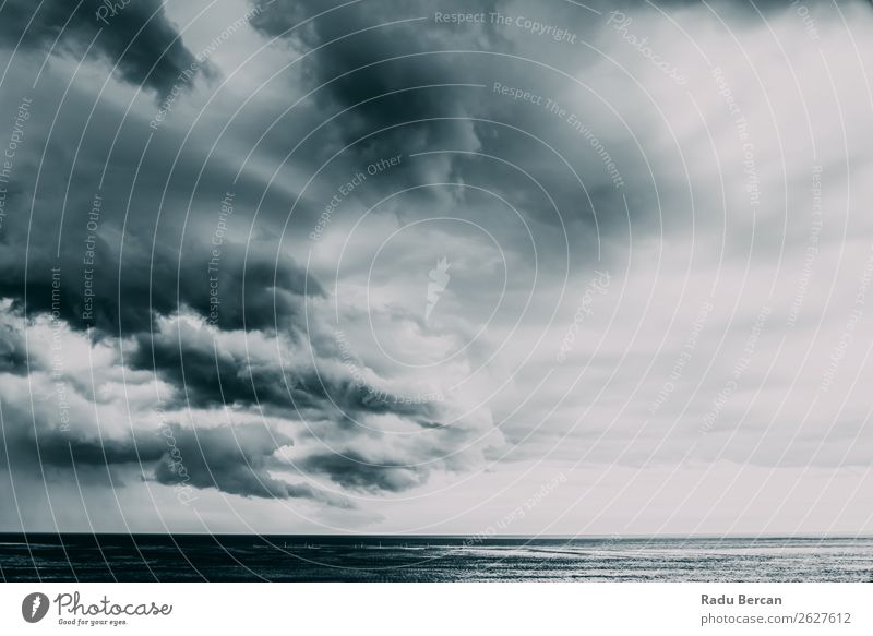 Sturmwolken versammeln sich über dem Ozean Ferne Freiheit Sommer Strand Meer Wellen Umwelt Natur Landschaft Wasser Himmel Wolken Gewitterwolken Wetter Unwetter