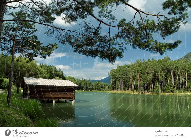 Bootshaus am Waldsee Erholung ruhig Ferien & Urlaub & Reisen Tourismus Ausflug Freiheit Umwelt Natur Landschaft Sommer Baum Alpen Seeufer Hütte Einsamkeit